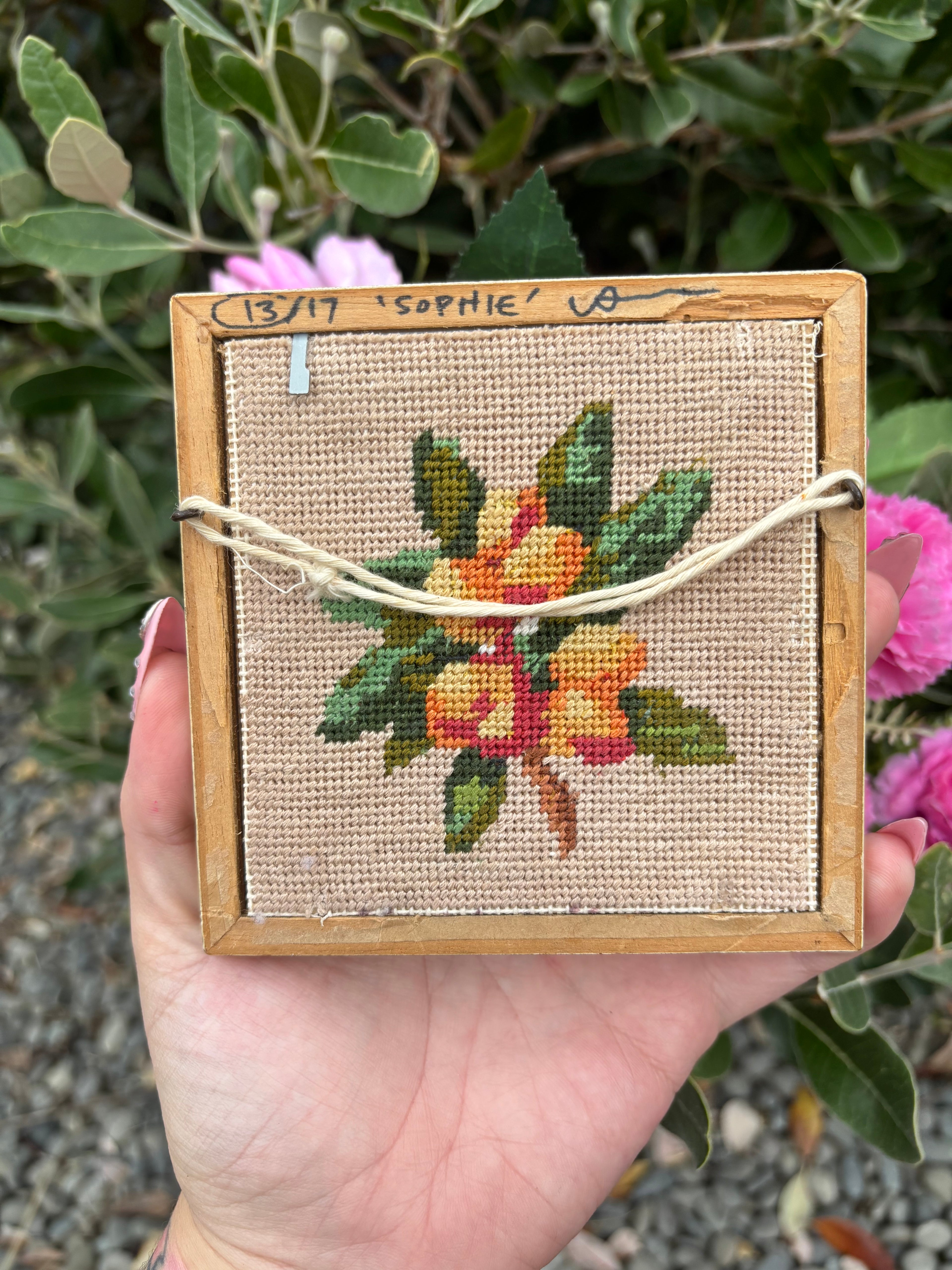 Pretty Kitty - Painting